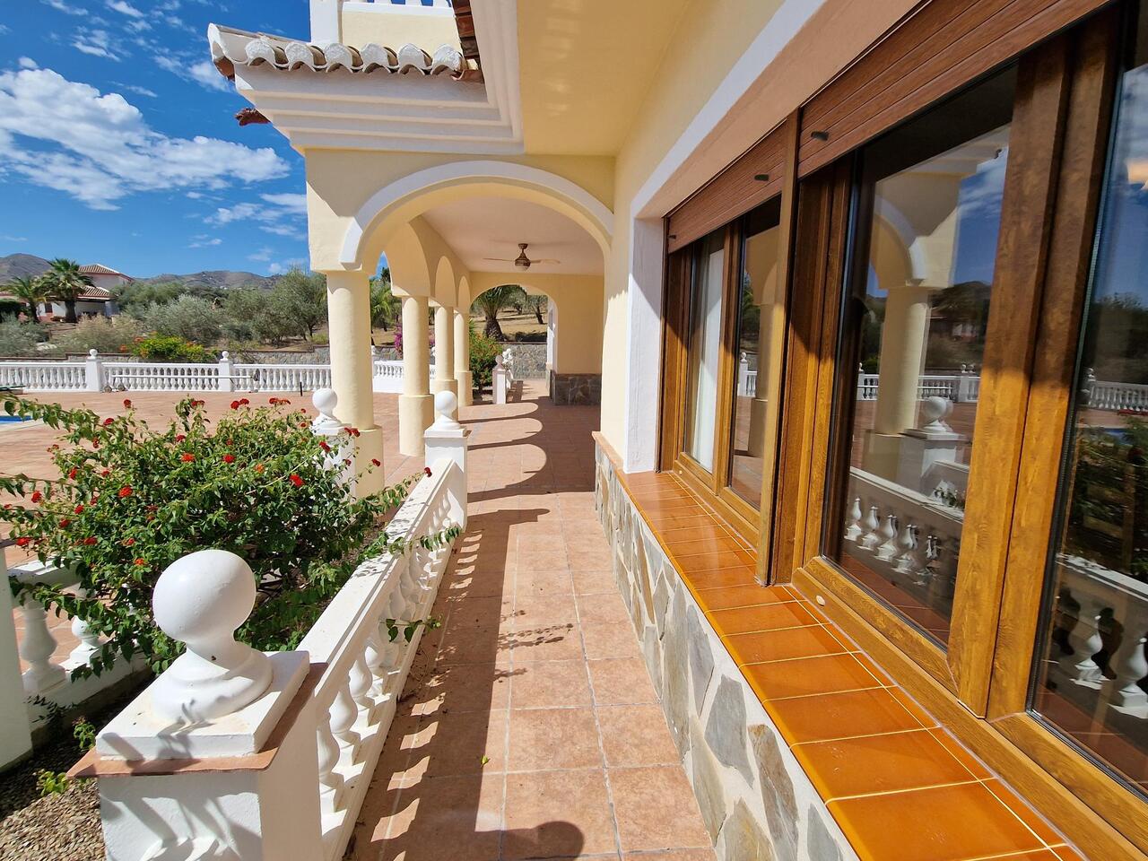 1207-villa-for-sale-in-vinuela-38529-large