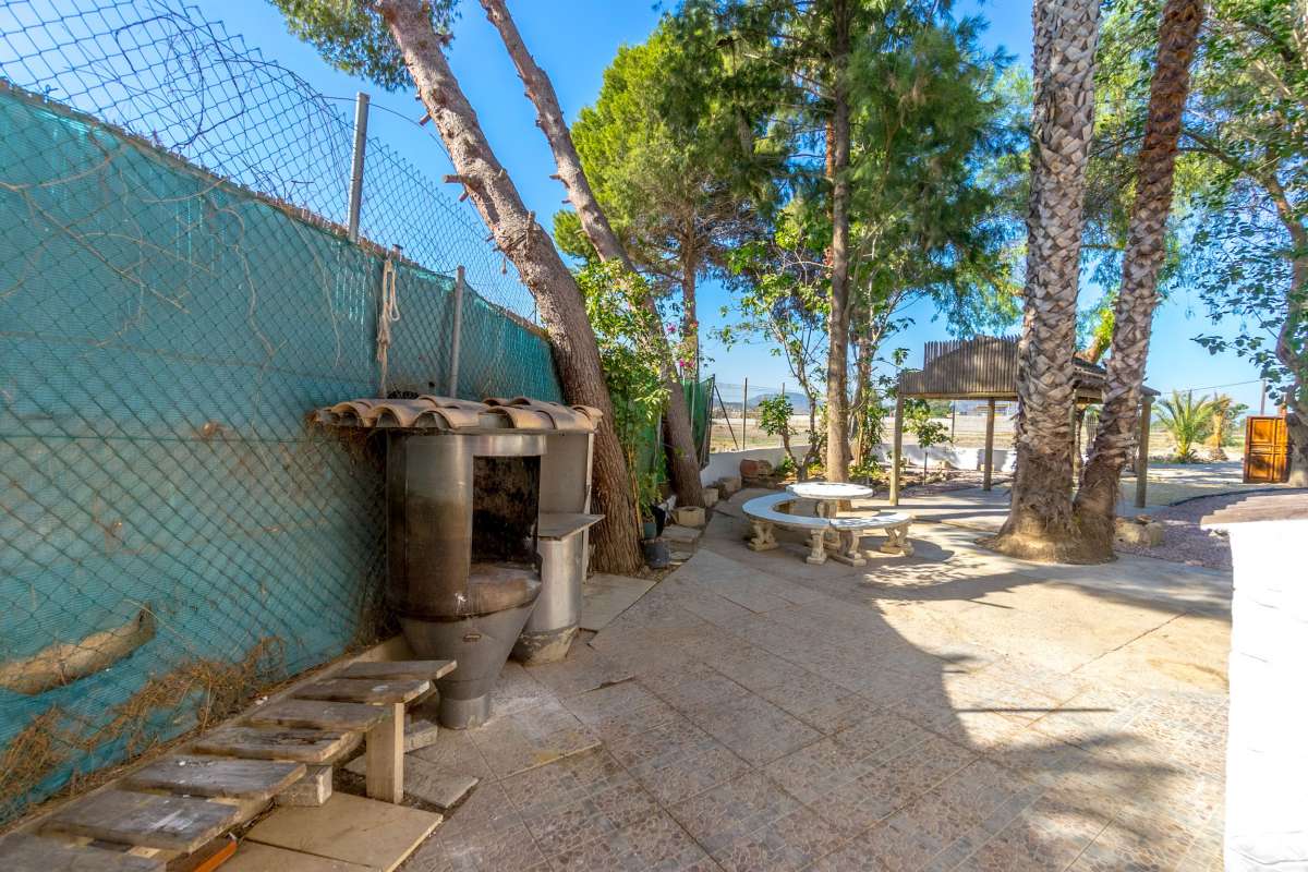 20240726130831000000_DSC08429