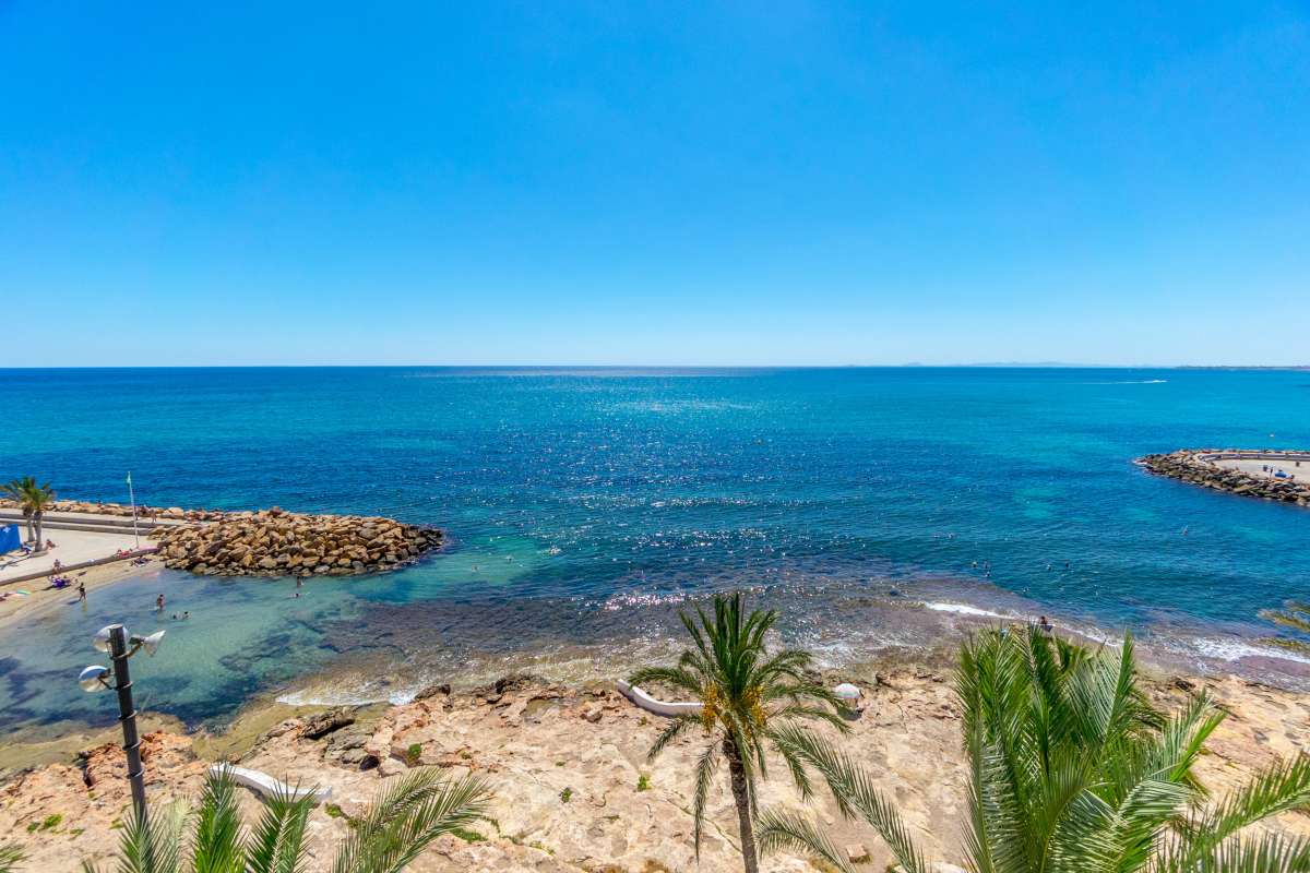 20250912090939000000_DSC04245