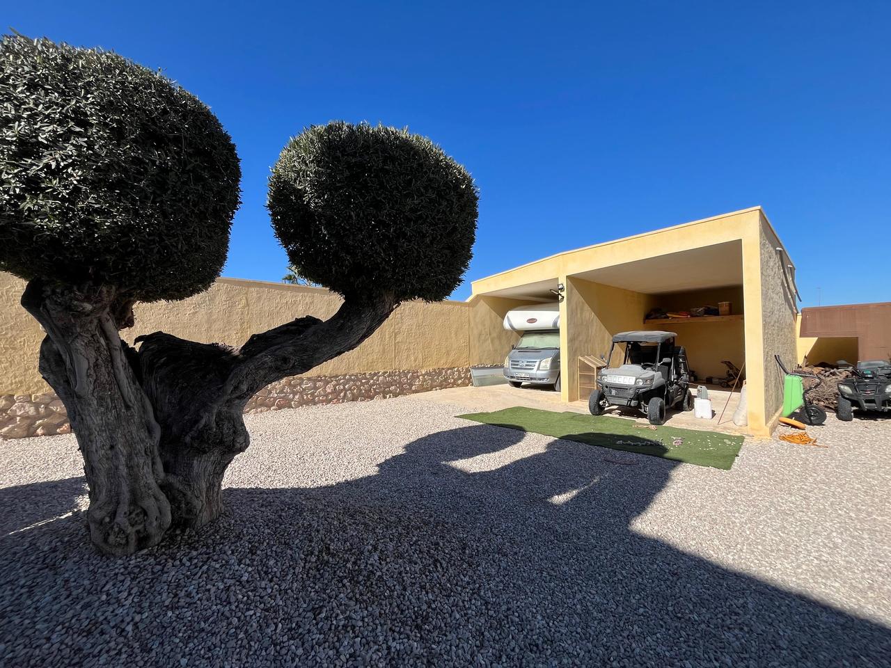 IMG-20250116-WA0035_xlarge