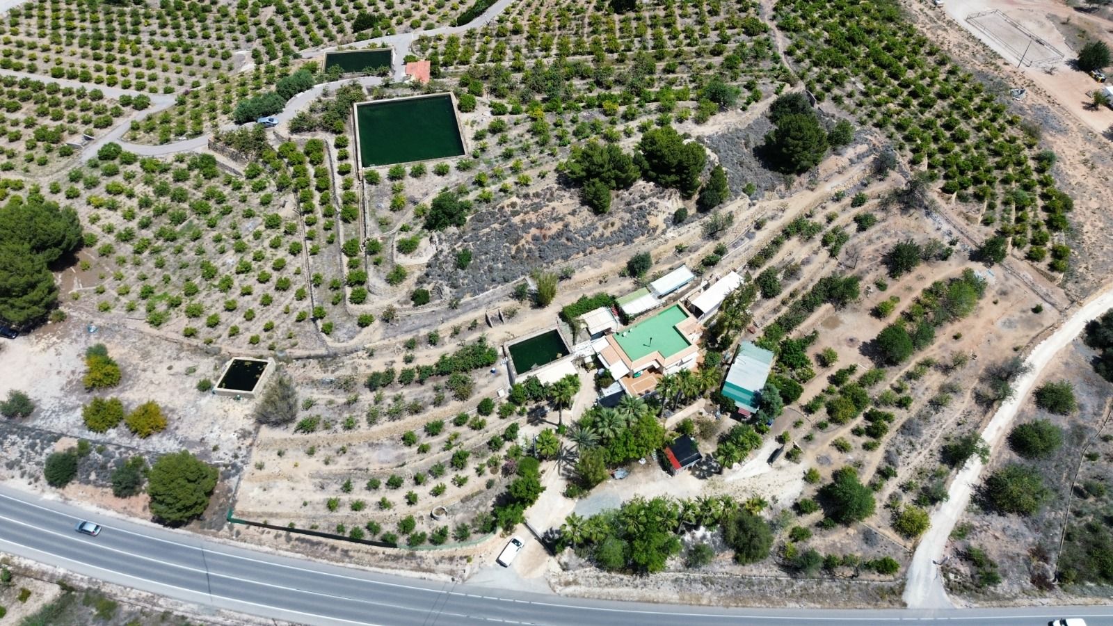 WhatsAppImage2025-03-24at11.55.022