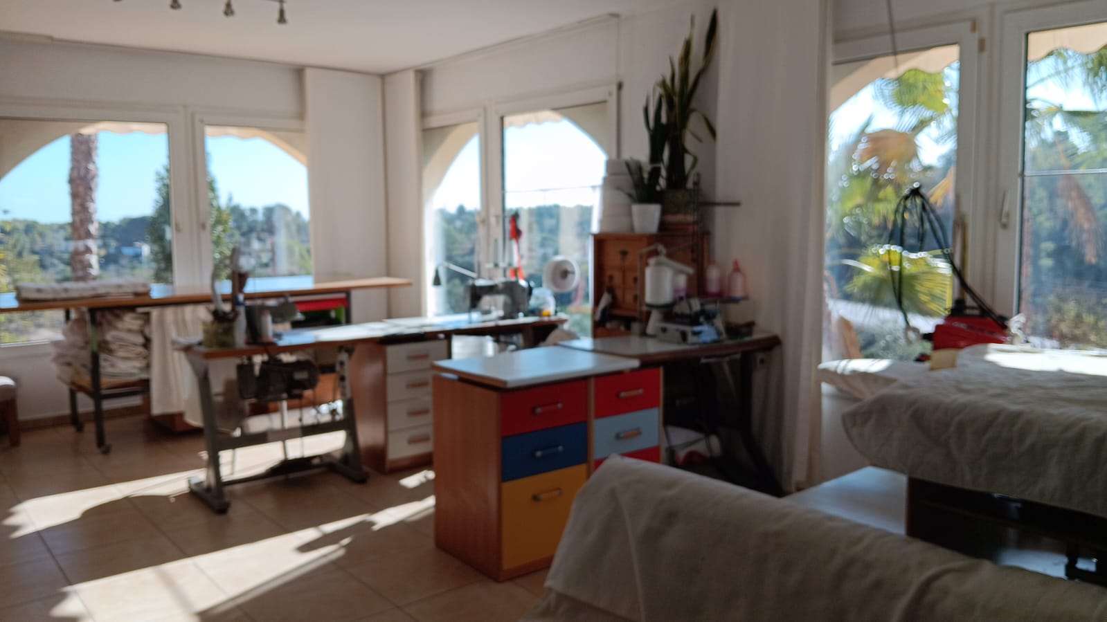 WhatsAppImage2025-03-24at11.55.18