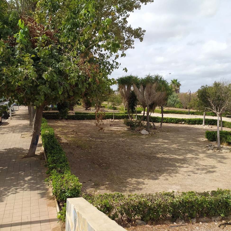 apartment-torrevieja-est007-17