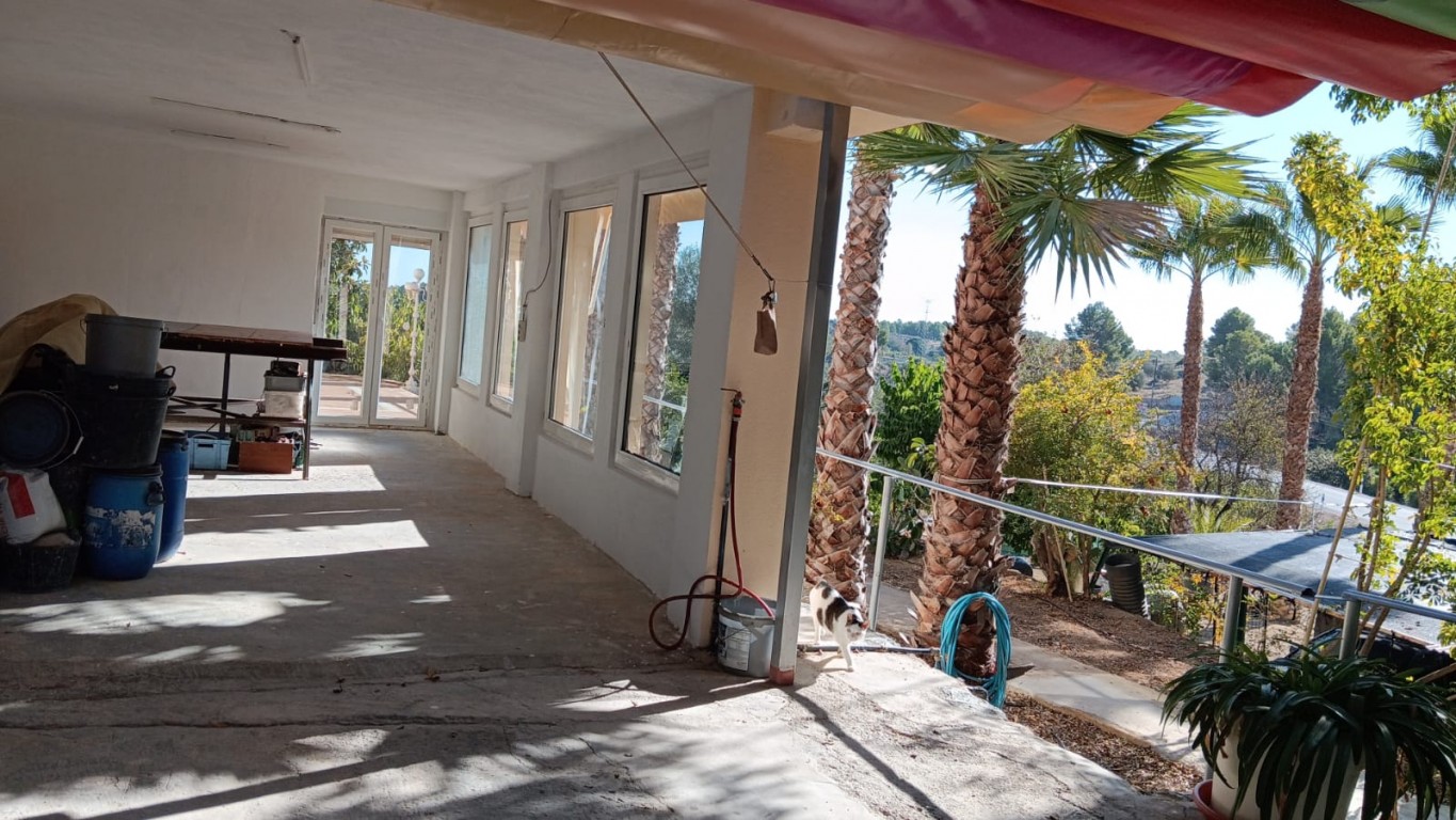 full_1455994_64615233