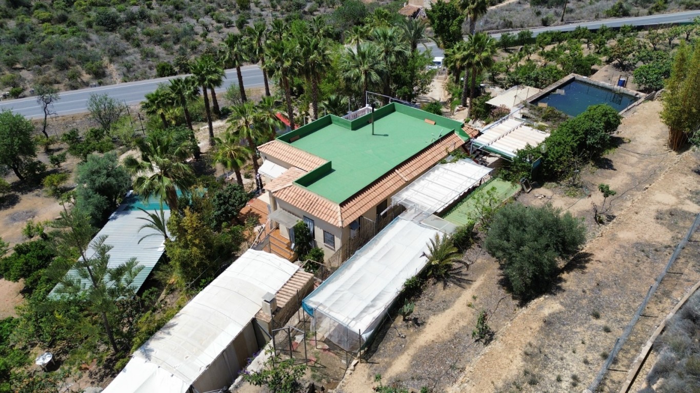 full_1455994_64615242