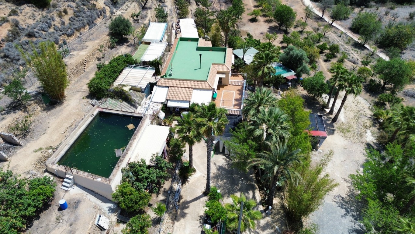 full_1455994_64615245