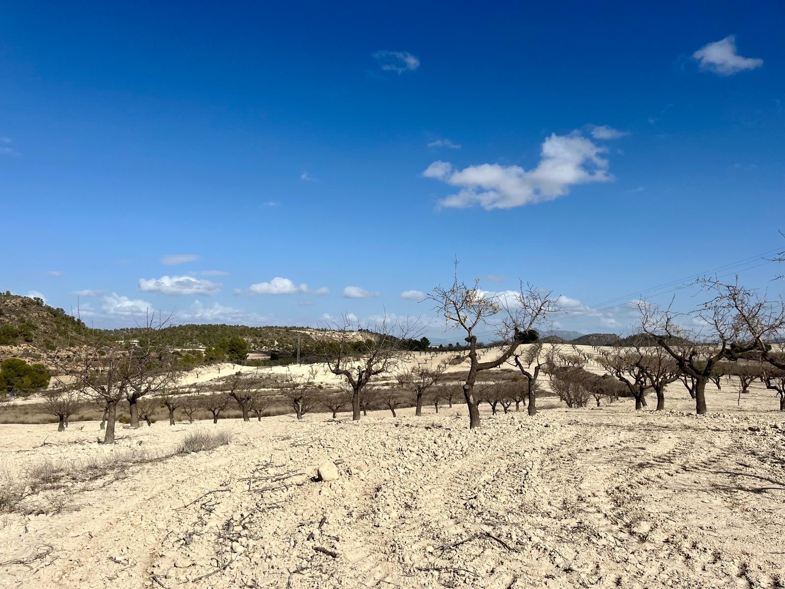 o_1ibrltsss1kkr3431n0rpa518fscd