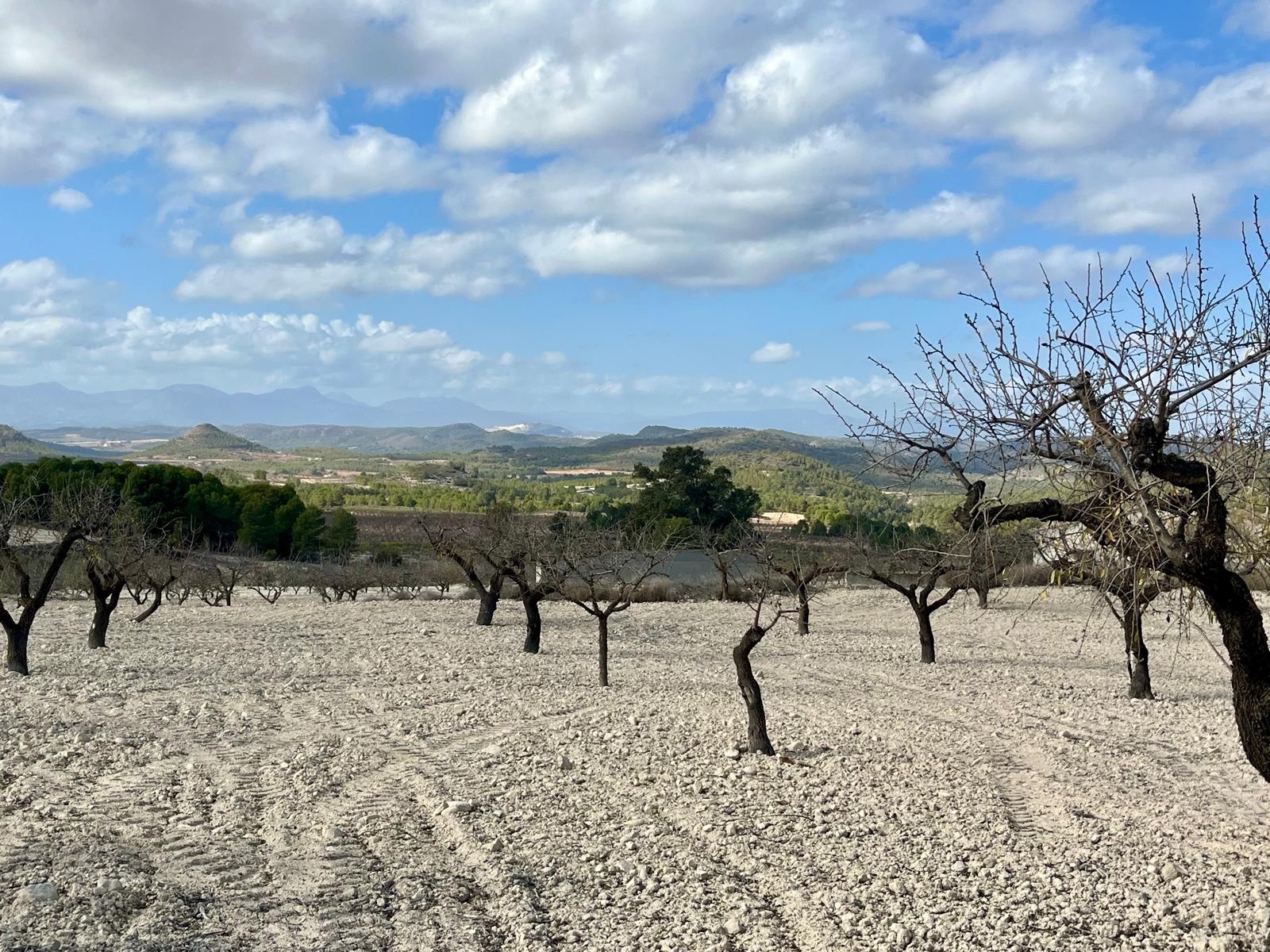 o_1ibrltsss1udnmico6vs7t1r8jcb