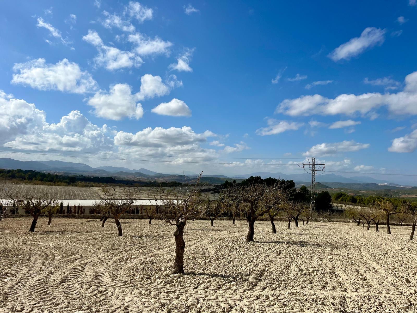 o_1ibrltsss6hj1hsj124dve3roce