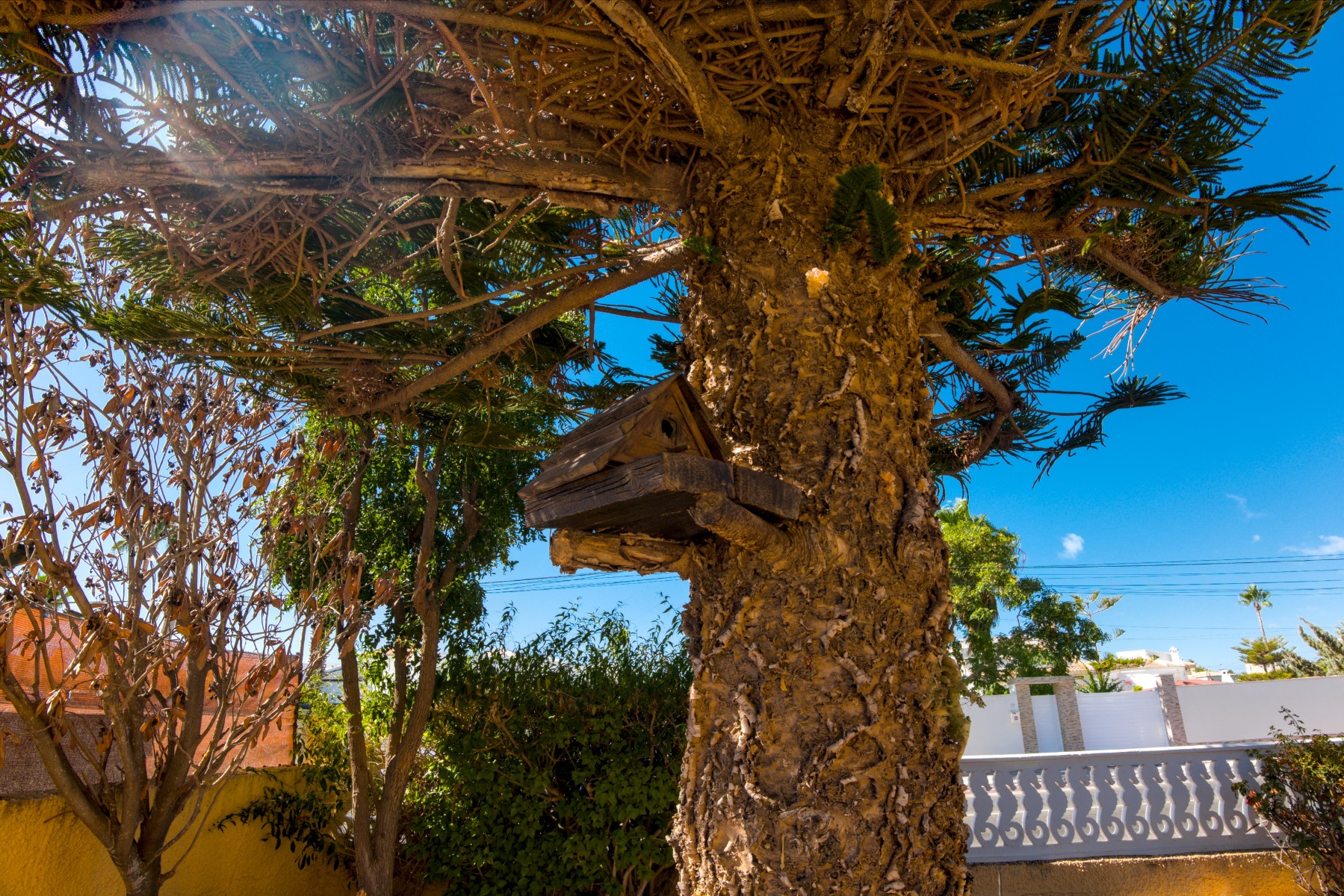 o_1j5bfv1mt1gfko8rm061dfldm42l