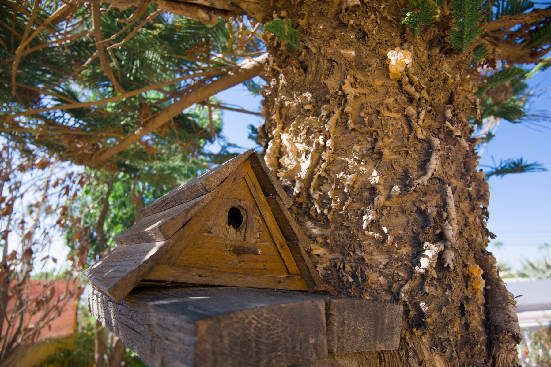 o_1j5bfv1mt1vk3k7lg921d1snql2q