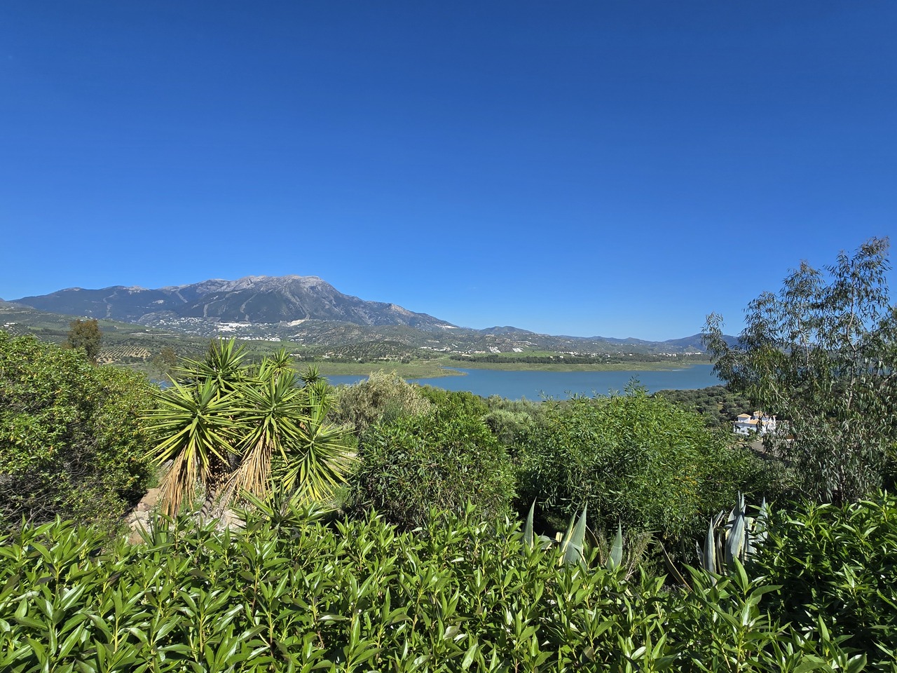 1351-villa-for-sale-in-vinuela-46589-large