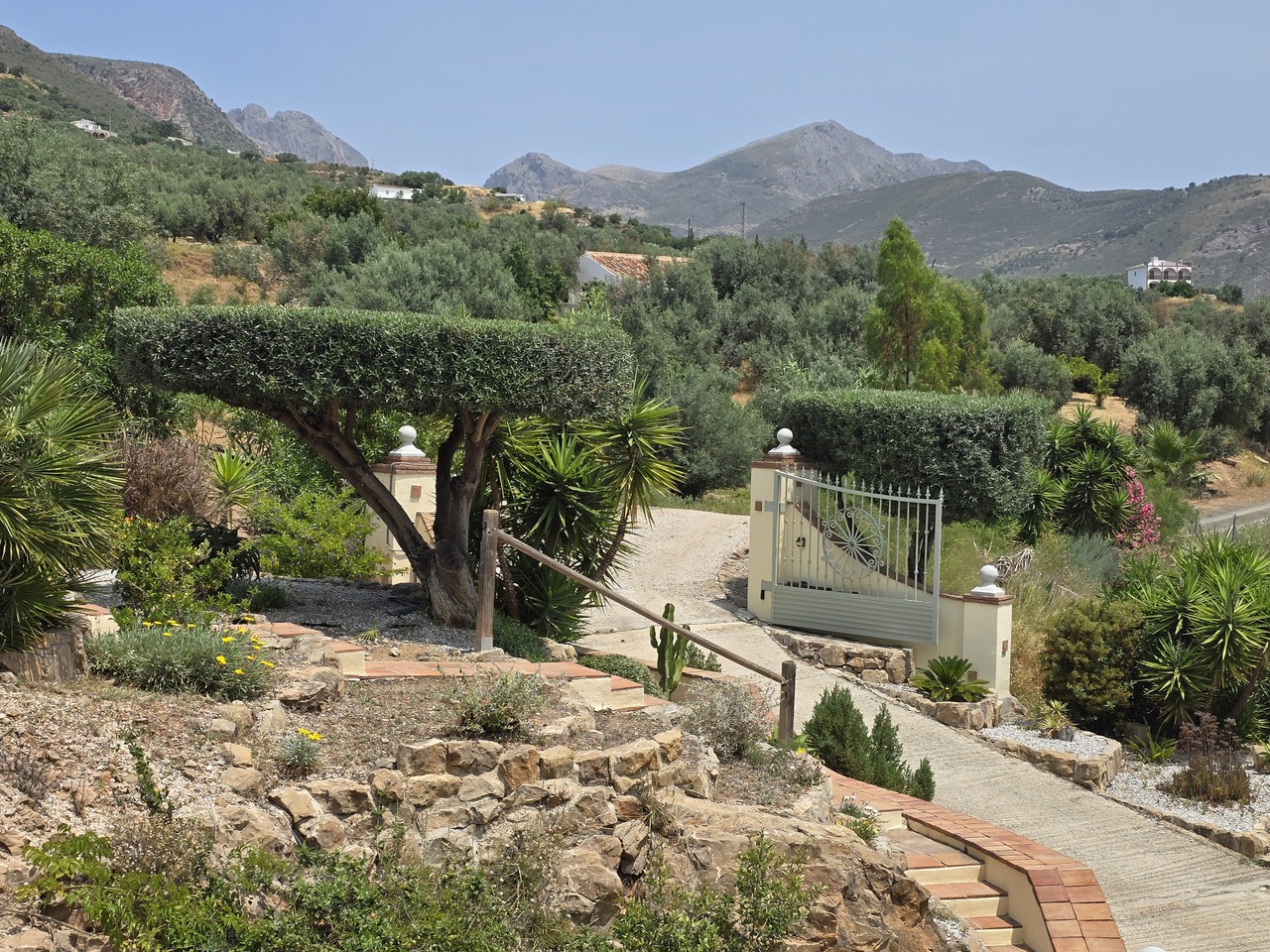 1366-villa-for-sale-in-alcaucin-47402-large