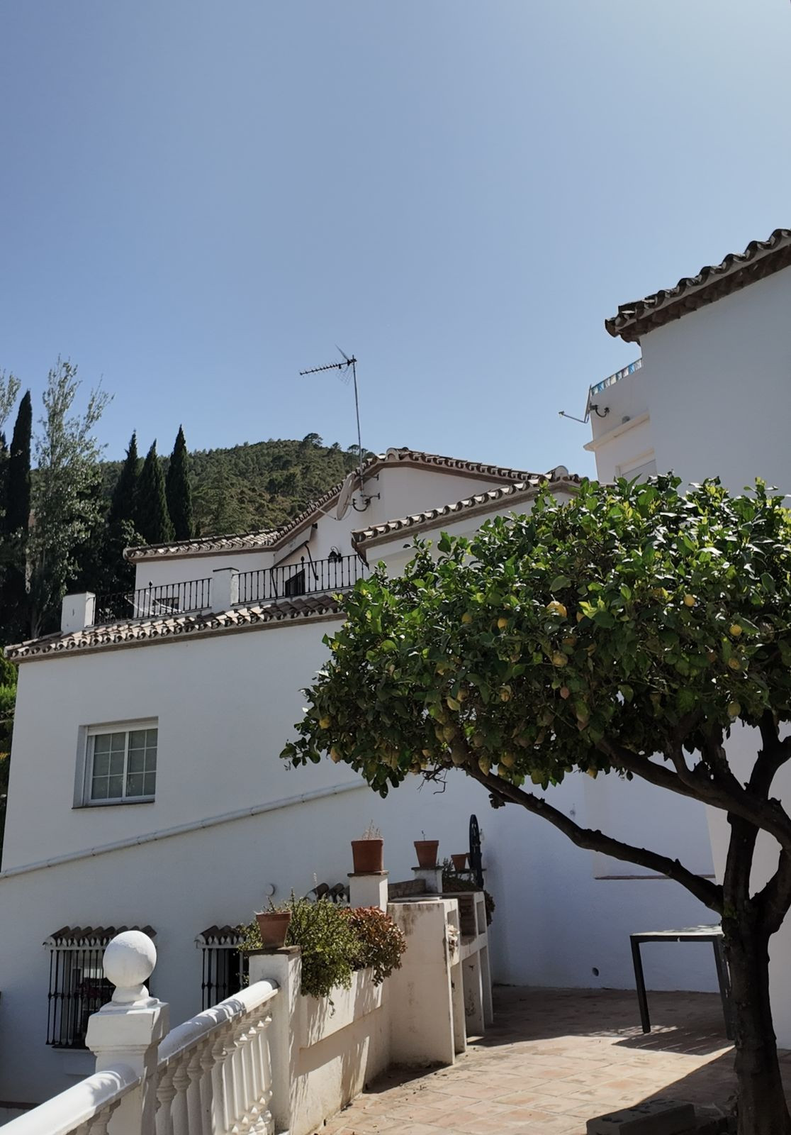 16-ec67b526875bf0124b6ce4328a754439_0