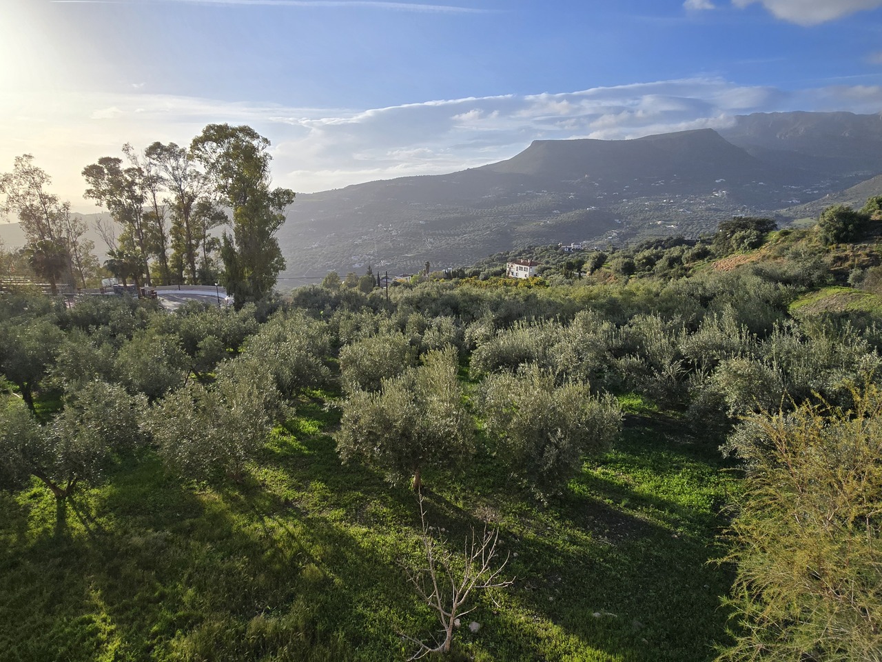 759-village-house-for-sale-in-alcaucin-46504-large