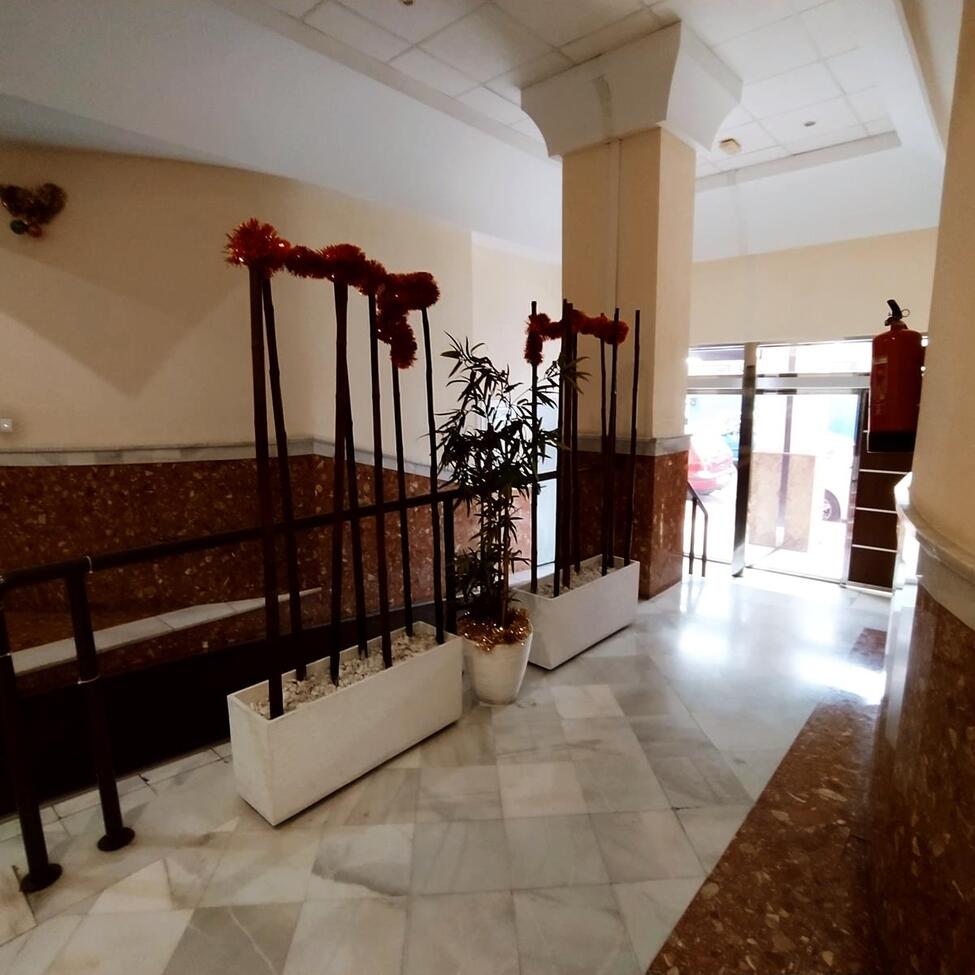 apartment-torrevieja-apa242-3