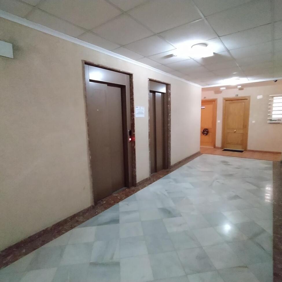 apartment-torrevieja-apa242-6