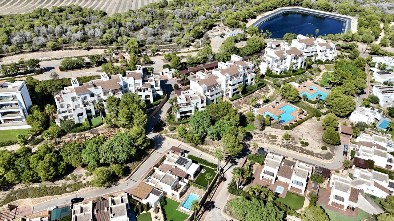 ca34047a-d0bb-4aa9-8340-47f121fe1356_xlarge