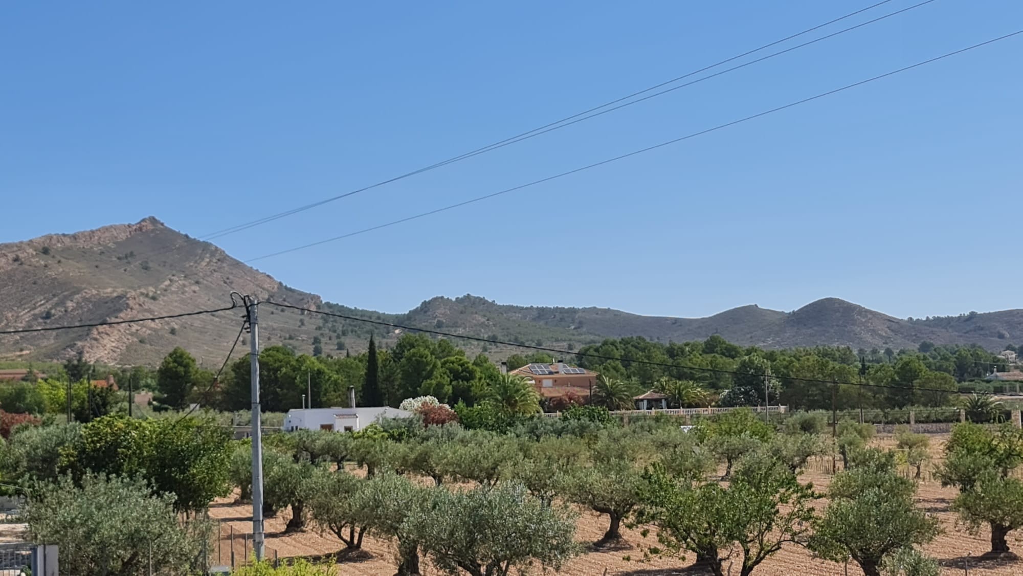 d67e04b91a68b267e04b91a68f5