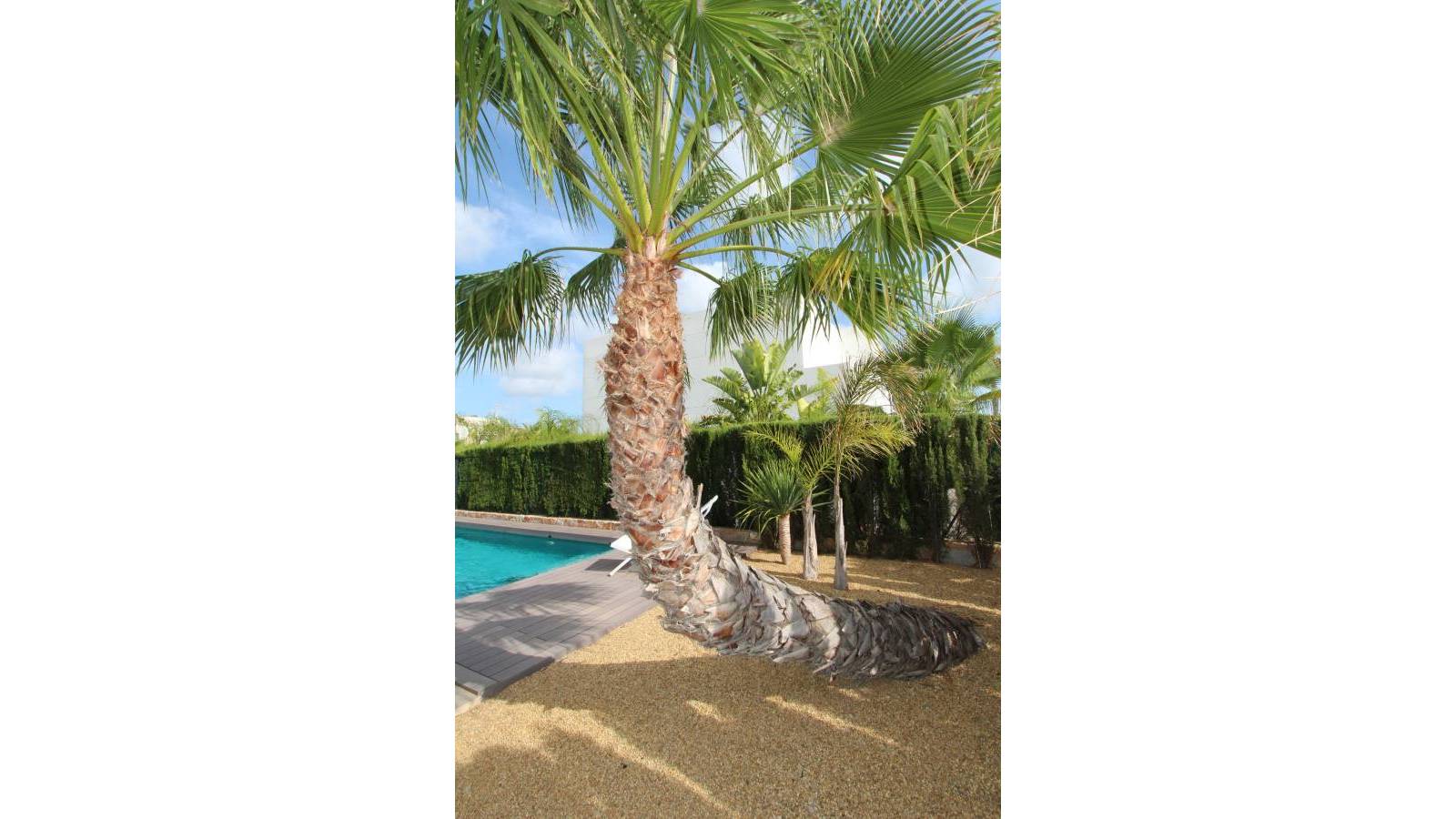 o_1ijdert8mr011nqal80jka138126