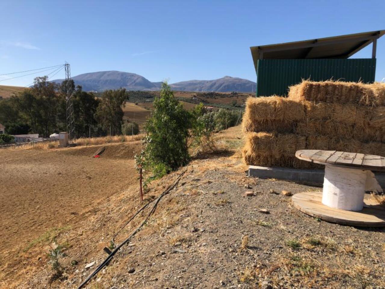 105656-country-property-for-sale-in-alora-54017936-large