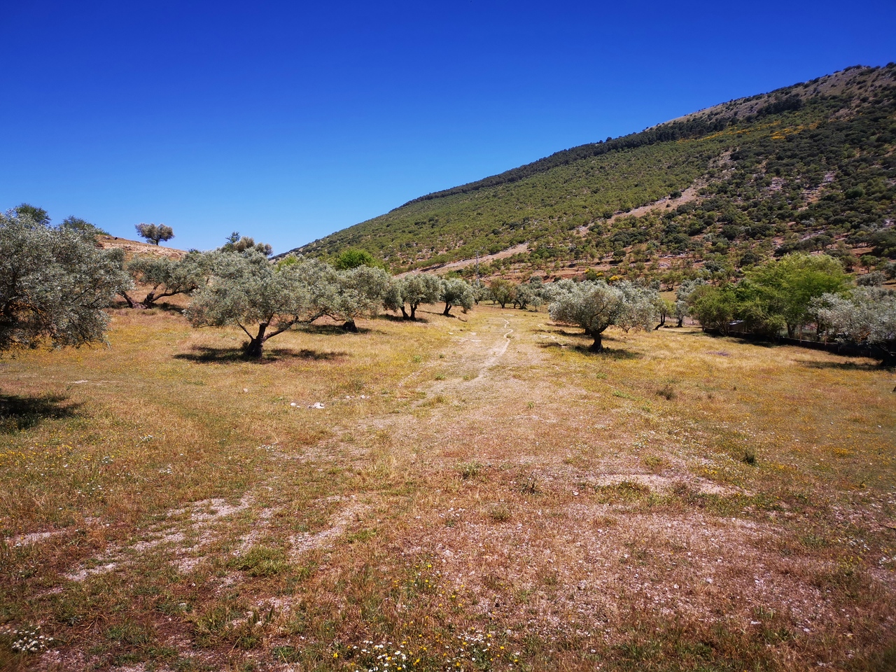 991-land-for-sale-in-periana-26969-large