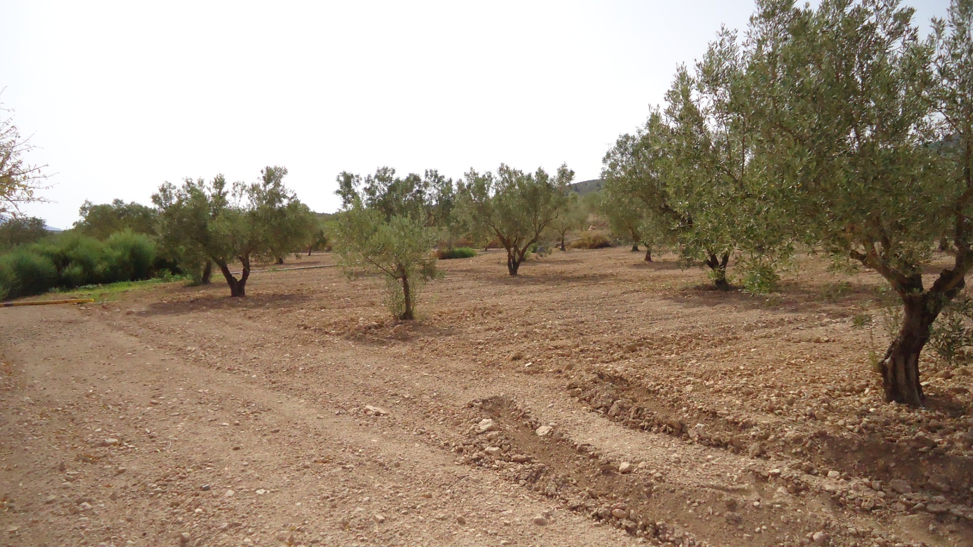 o_1iad2d93g1l351ggkv191l3o87e2d