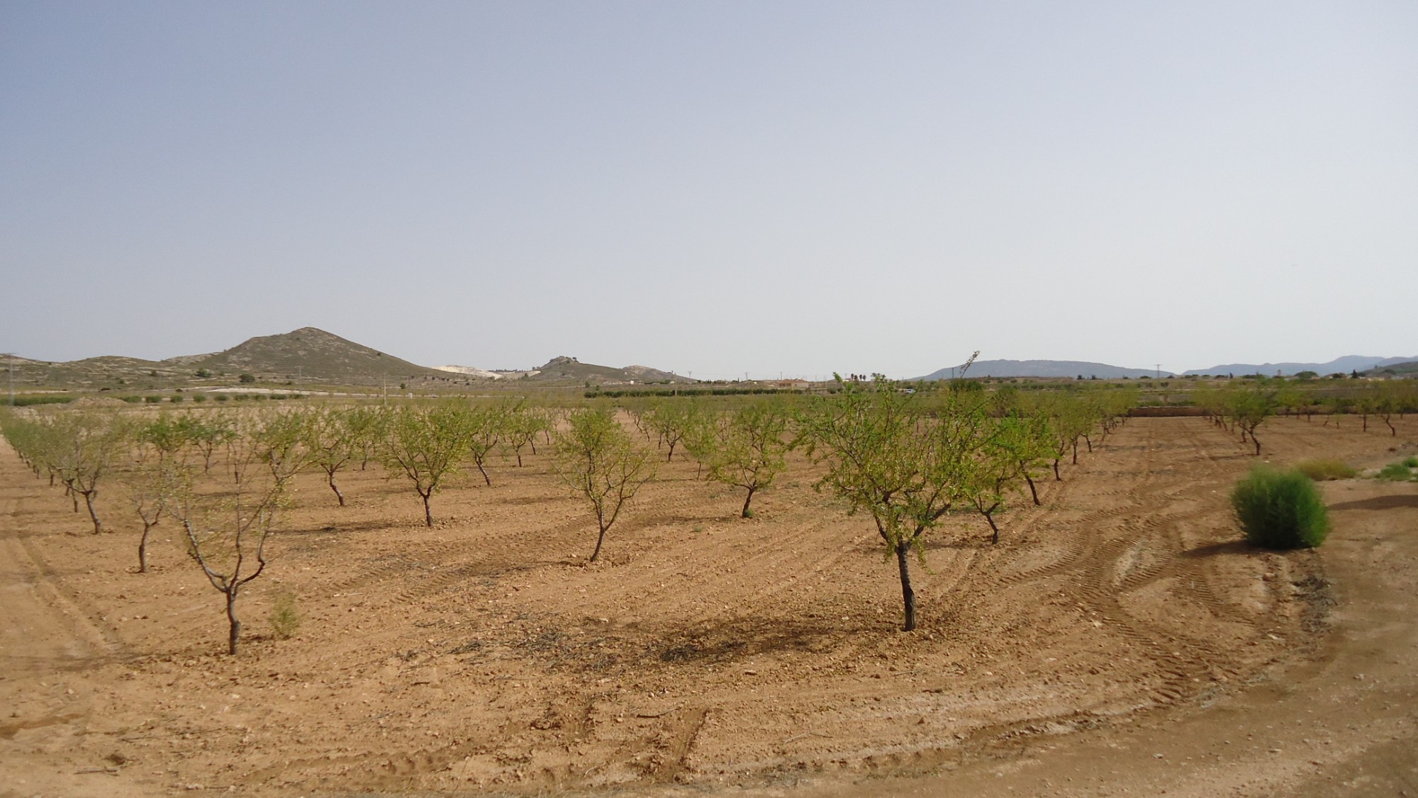 o_1iad2d93gmvi187g1ef2c21j082e